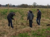1203_baumpflanzaktion_10