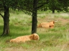 2012_niederlande-209_2