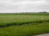 2012_niederlande-515_2